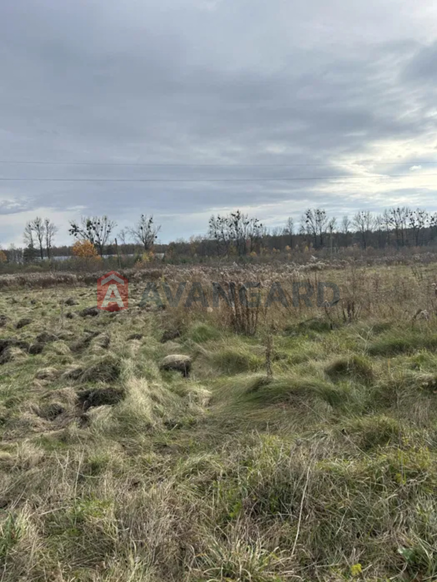 ��������� ������� ���� 4