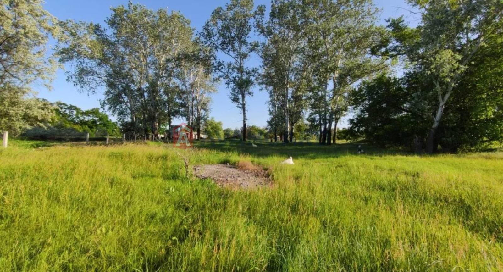 �������� ������ ���� 4