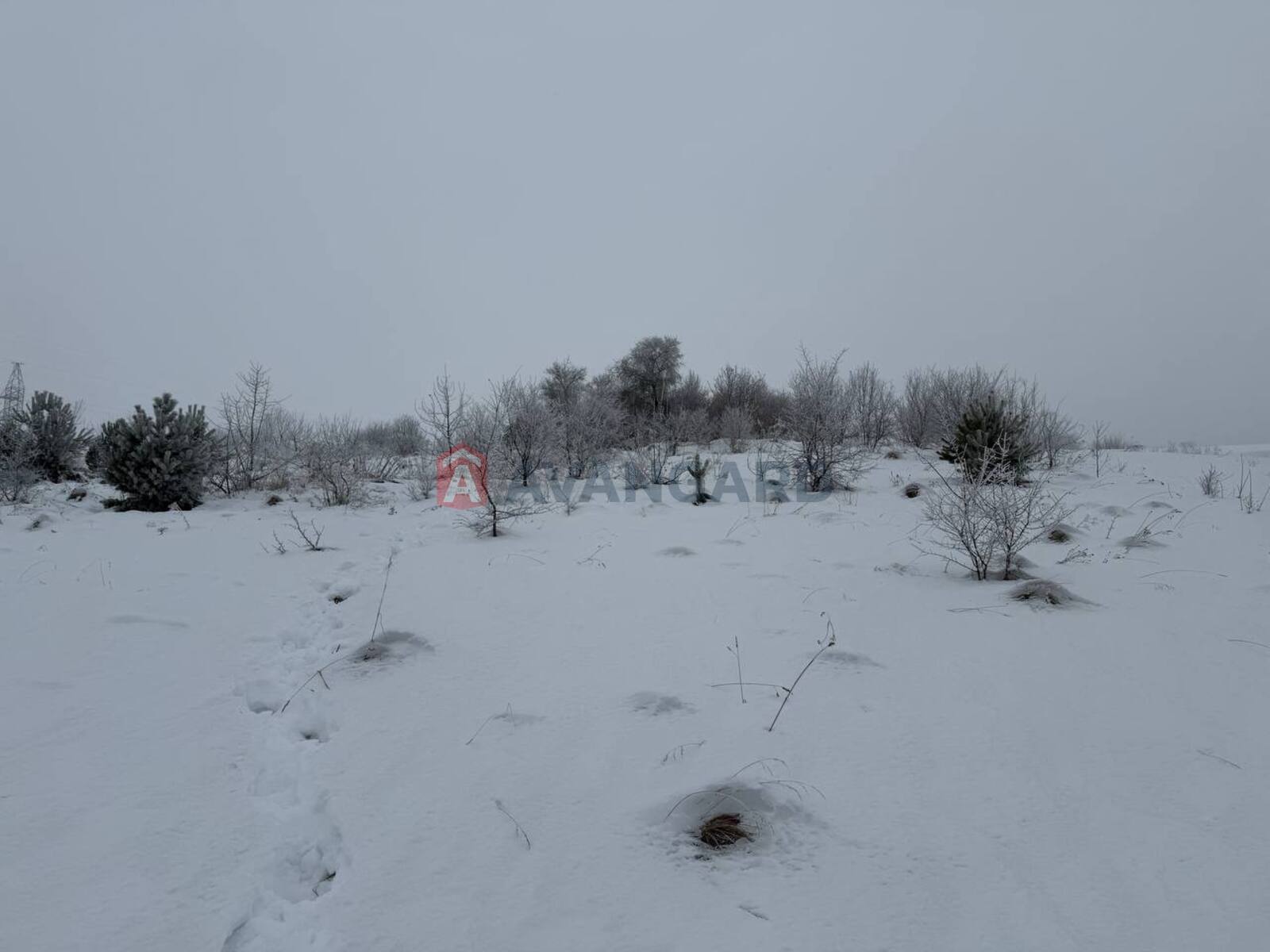 �������� ������ ���� 5