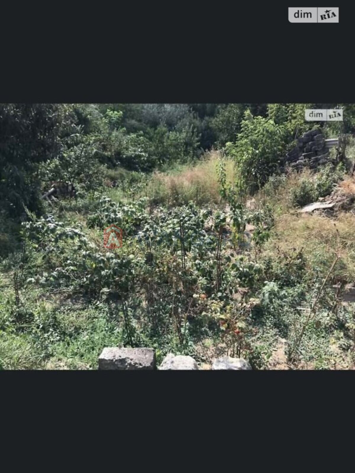 �������� ������ ���� 12