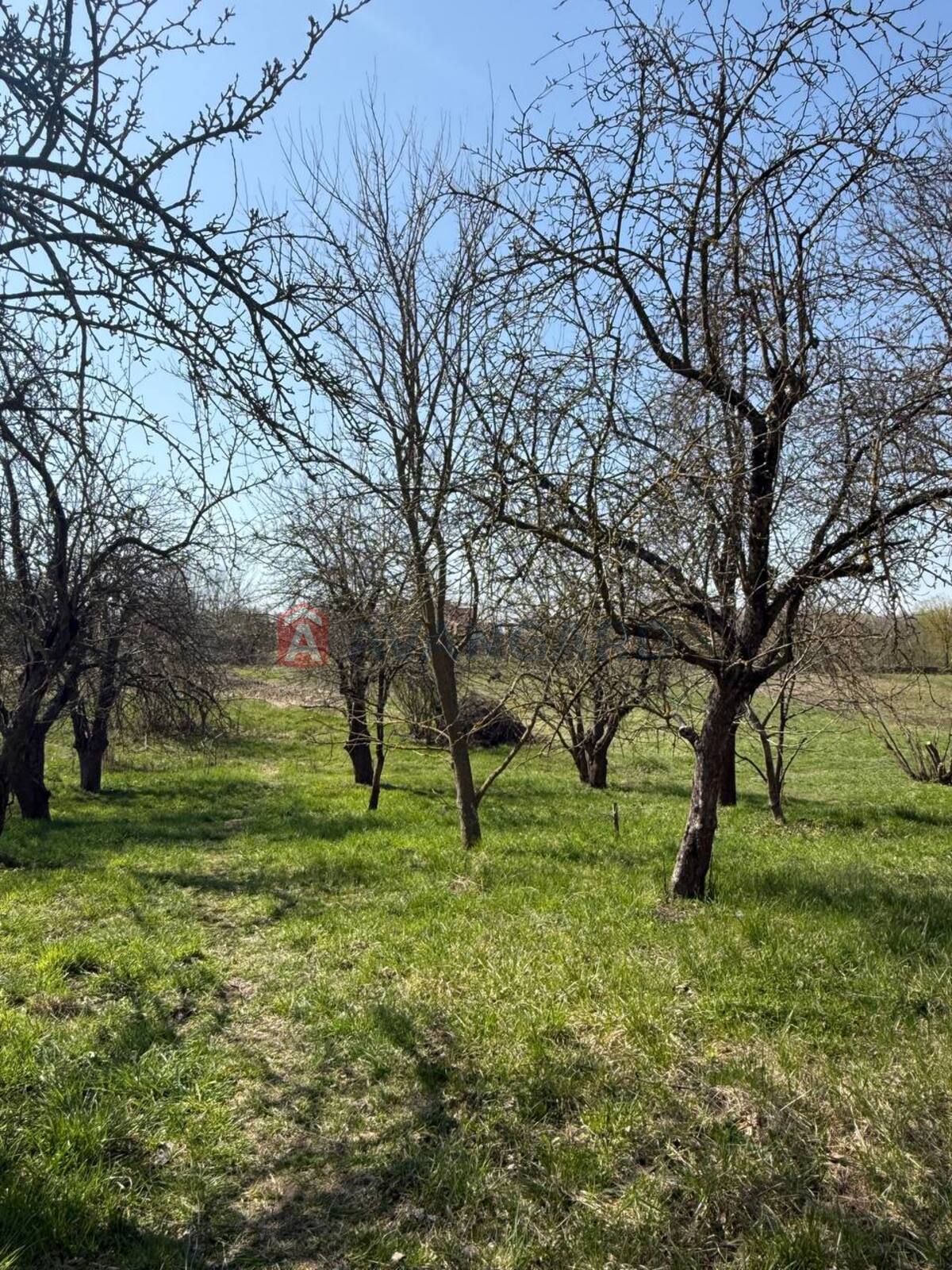 �������� ������ ���� 7