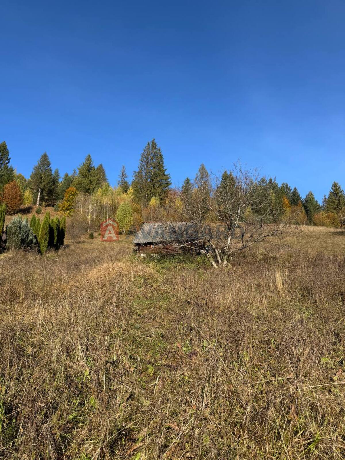 �������� ������ ���� 1