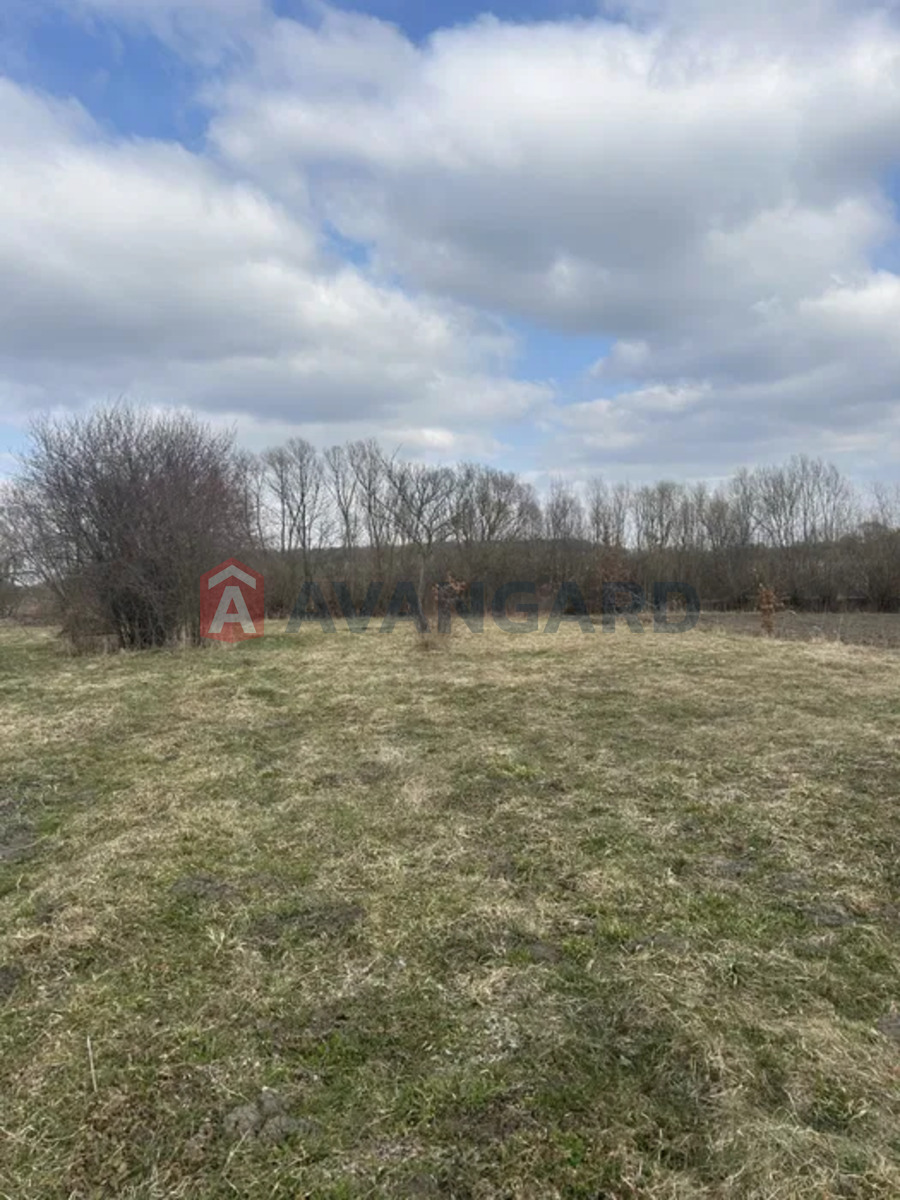 �������� ������ ���� 6