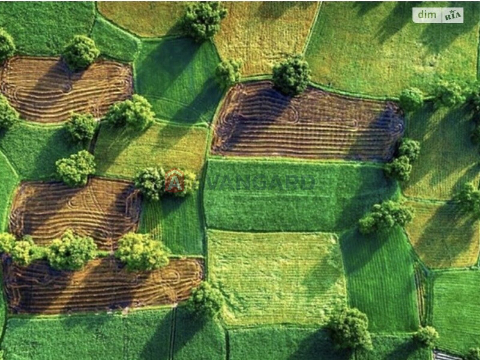 �������� ������ ���� 1