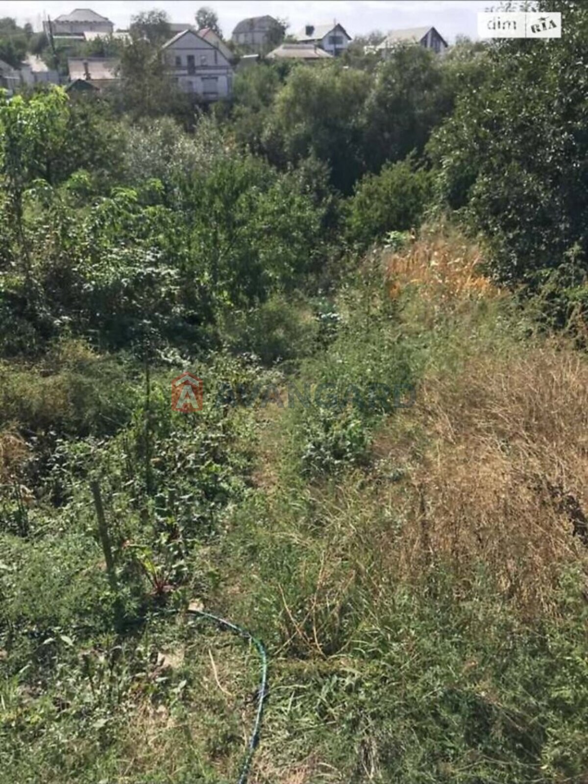 �������� ������ ���� 10