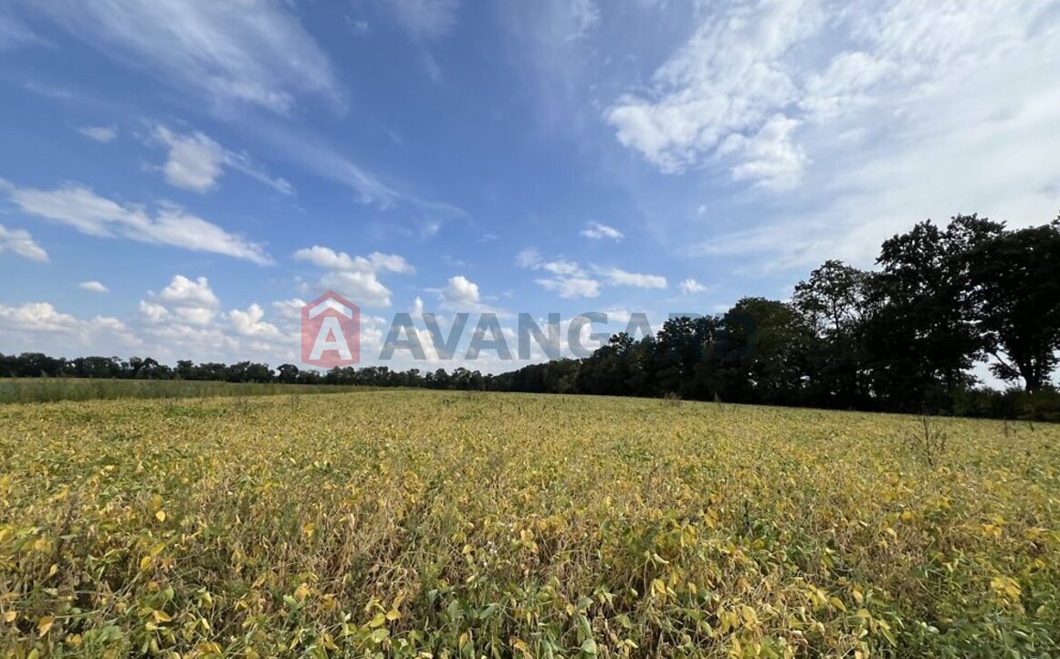 ��������� ������� ���� 1