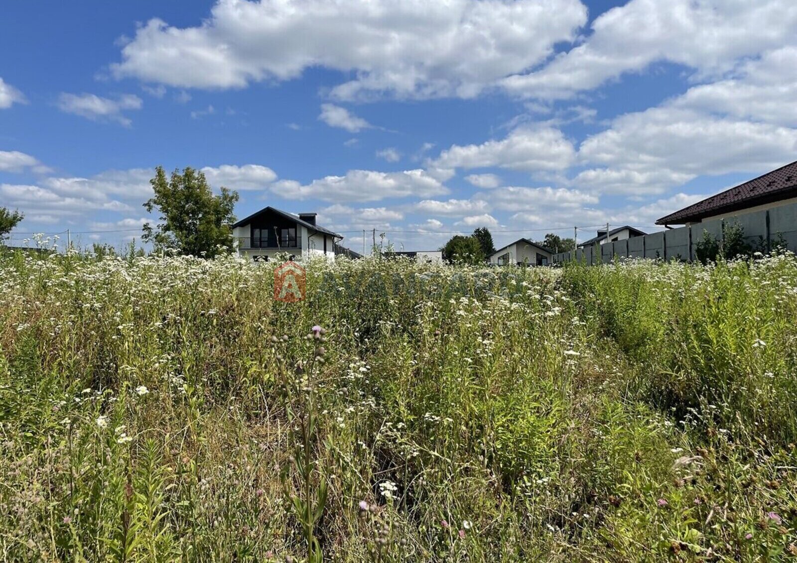 �������� ������ ���� 5
