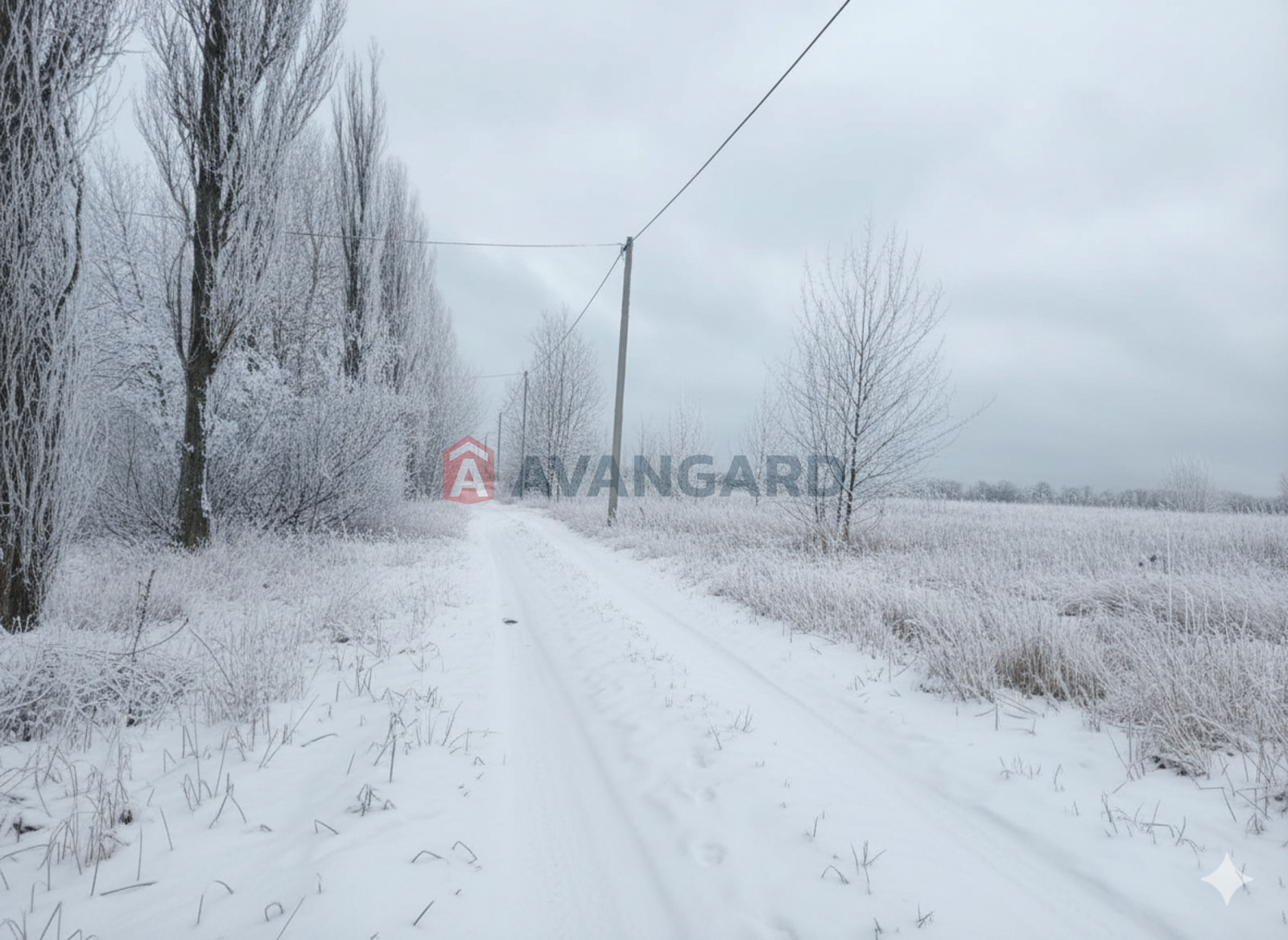 �������� ������ ���� 5