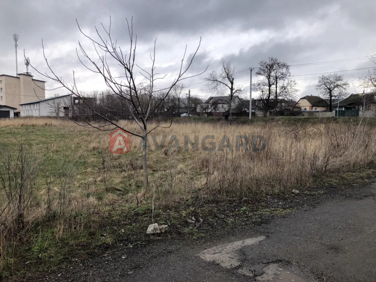 �������� ������ ���� 5