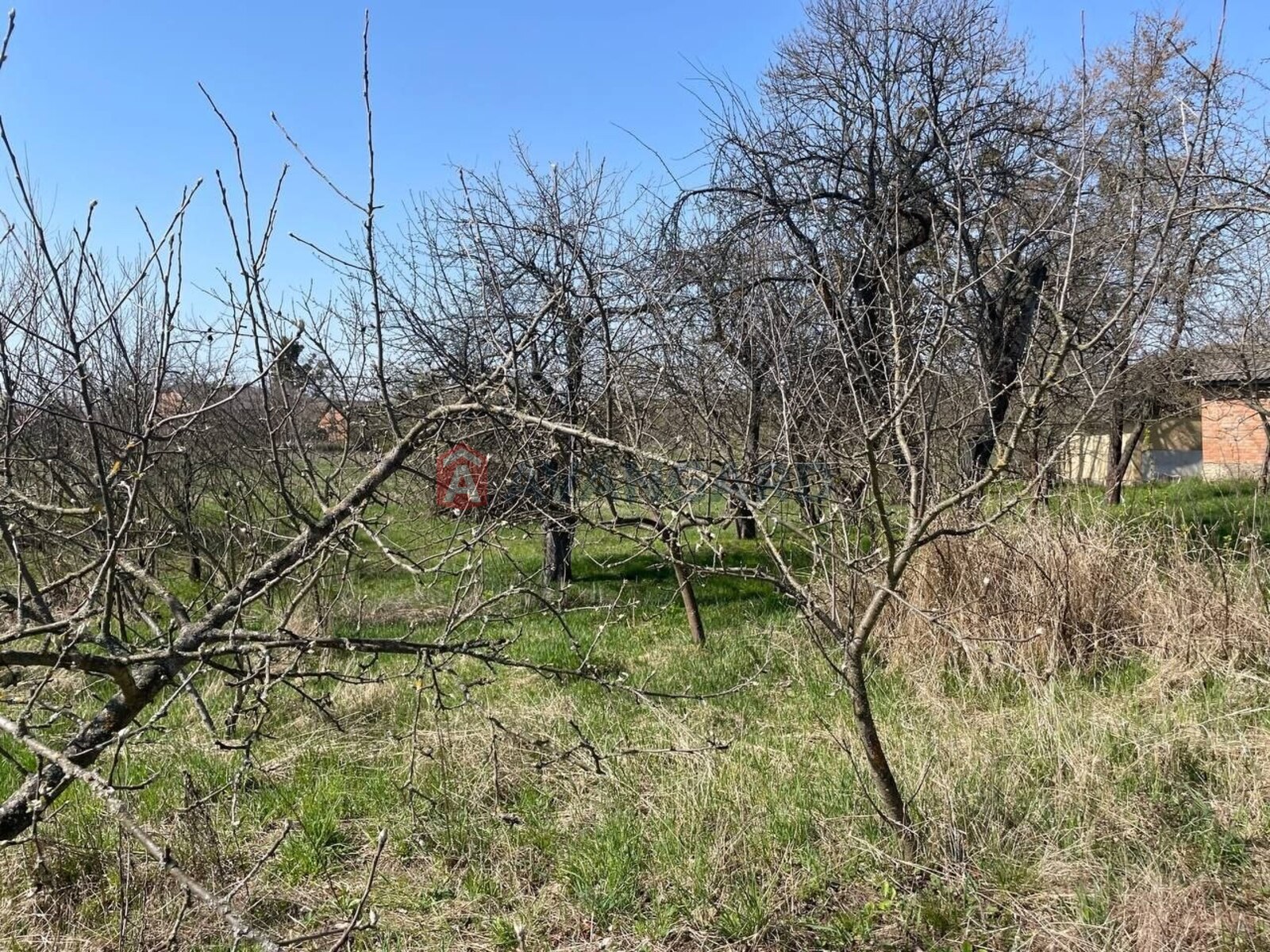 ��������� ������� ���� 4