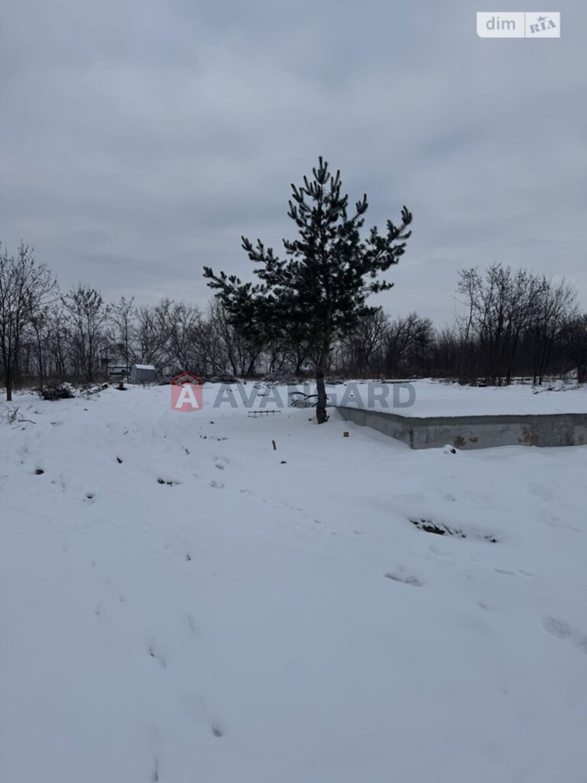 �������� ������ ���� 7