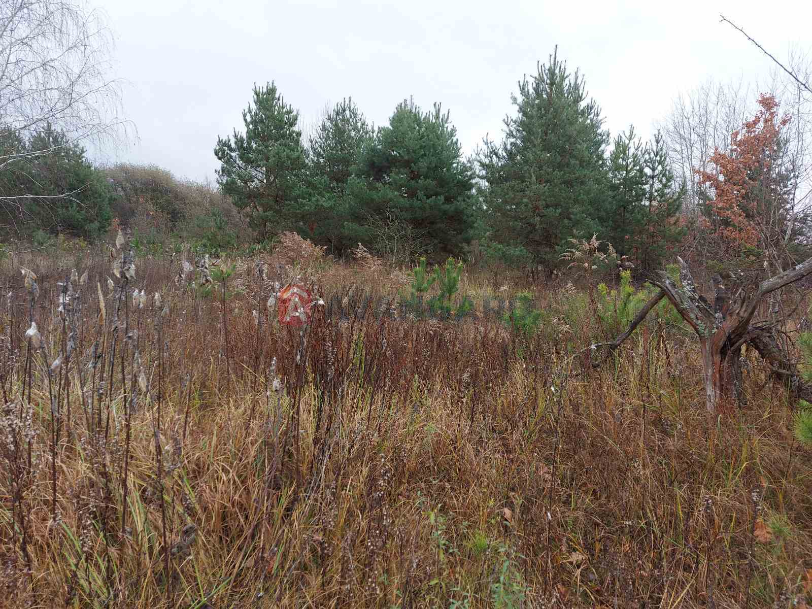 �������� ������ ���� 6