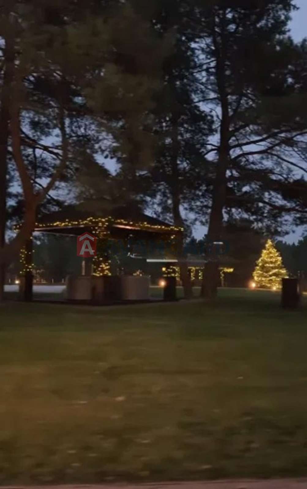 �������� ������ ���� 14