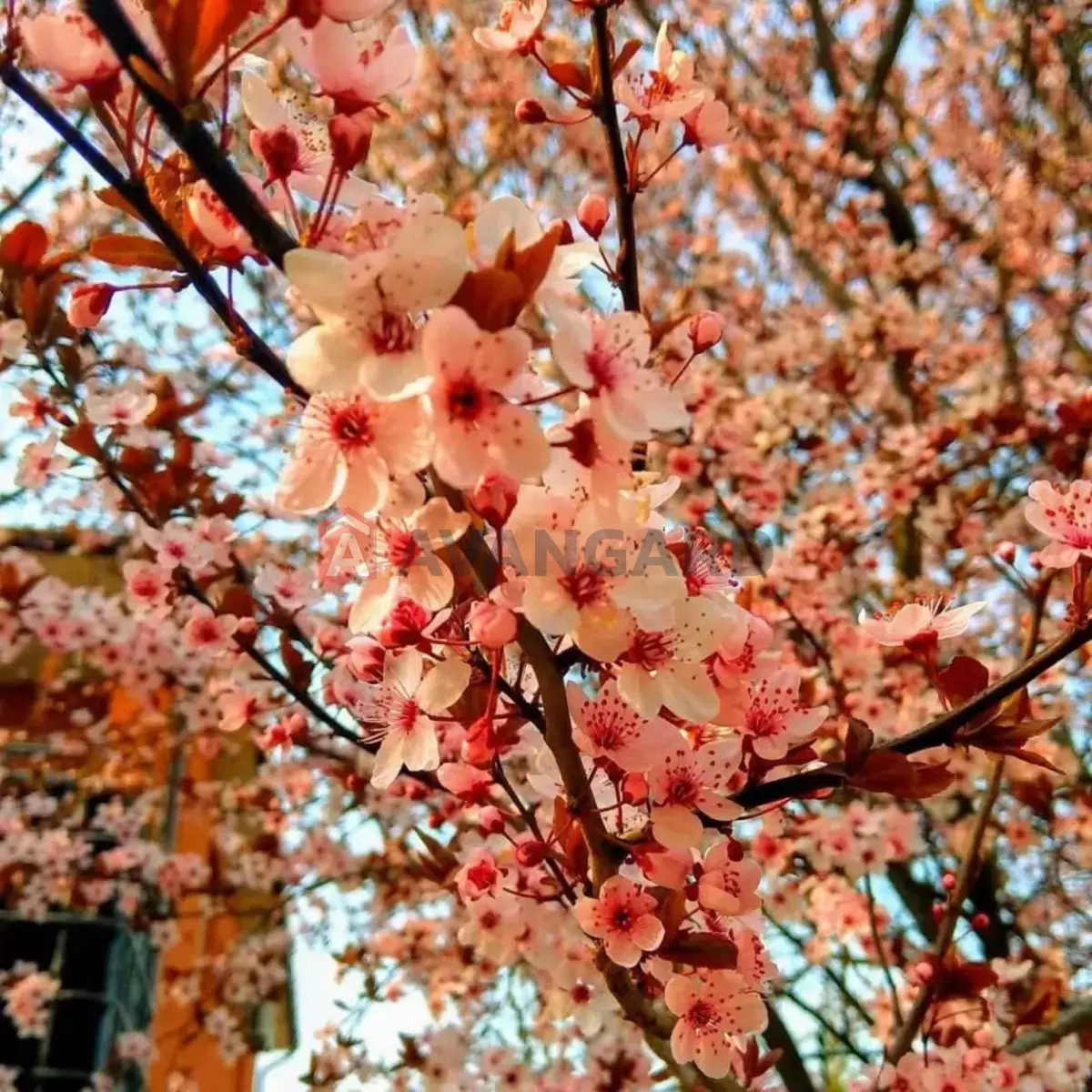 Дом, 211 кв.м. фото 17 Дом, 211 кв.м. фото 17