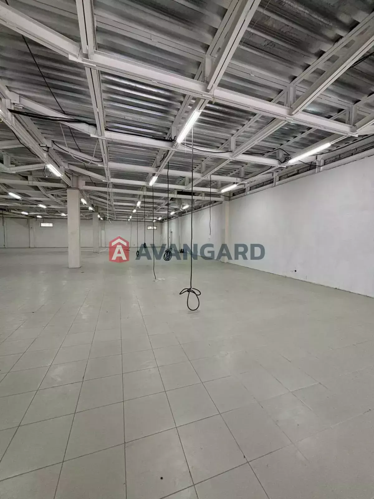 Торговая площадь, Кафе, бар, ресторан, Сфера услуг, 2902 кв.м. фото 3 Торговая площадь, Кафе, бар, ресторан, Сфера услуг, 2902 кв.м. фото 3