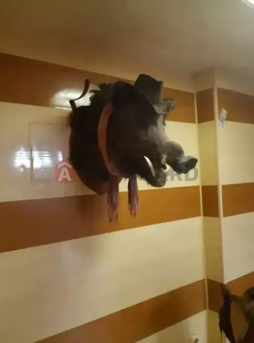 Кафе, бар, ресторан, 240 кв.м. фото 5 Кафе, бар, ресторан, 240 кв.м. фото 5