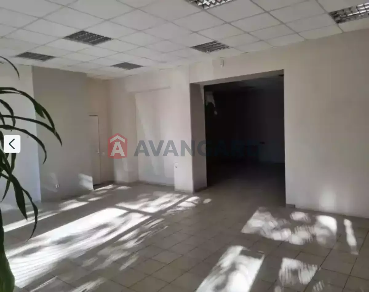 Торгівельна площа, 101 кв.м. фото 2 Торгівельна площа, 101 кв.м. фото 2