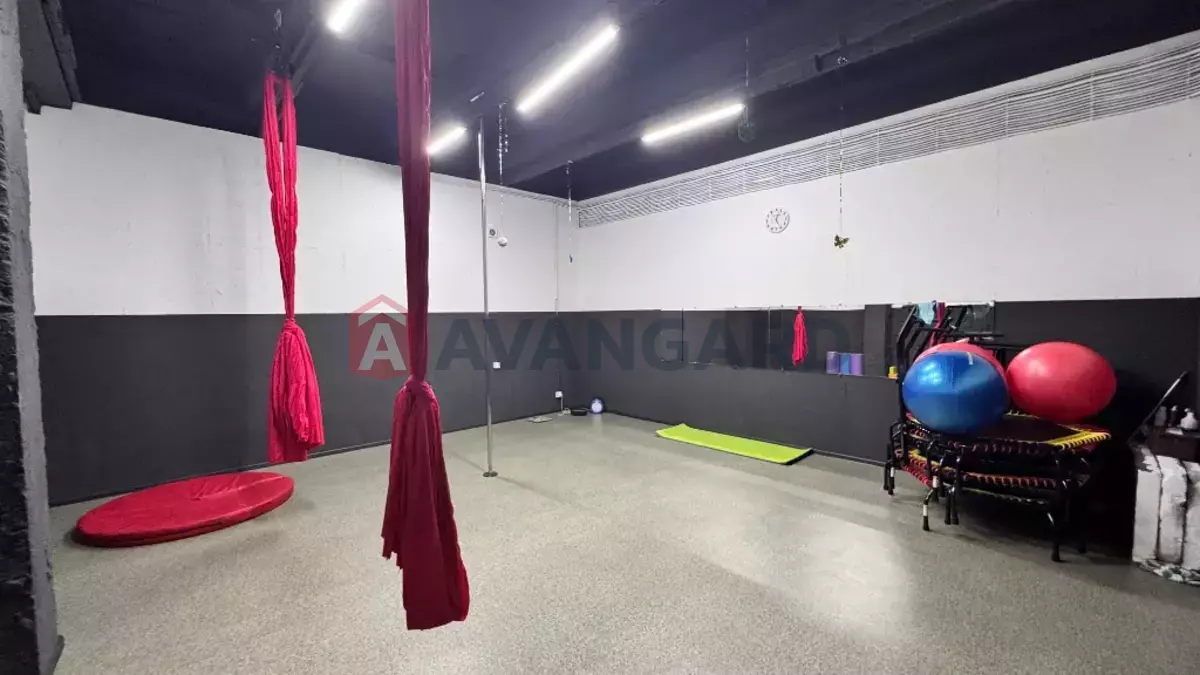 Сфера услуг, 255 кв.м. фото 8 Сфера услуг, 255 кв.м. фото 8