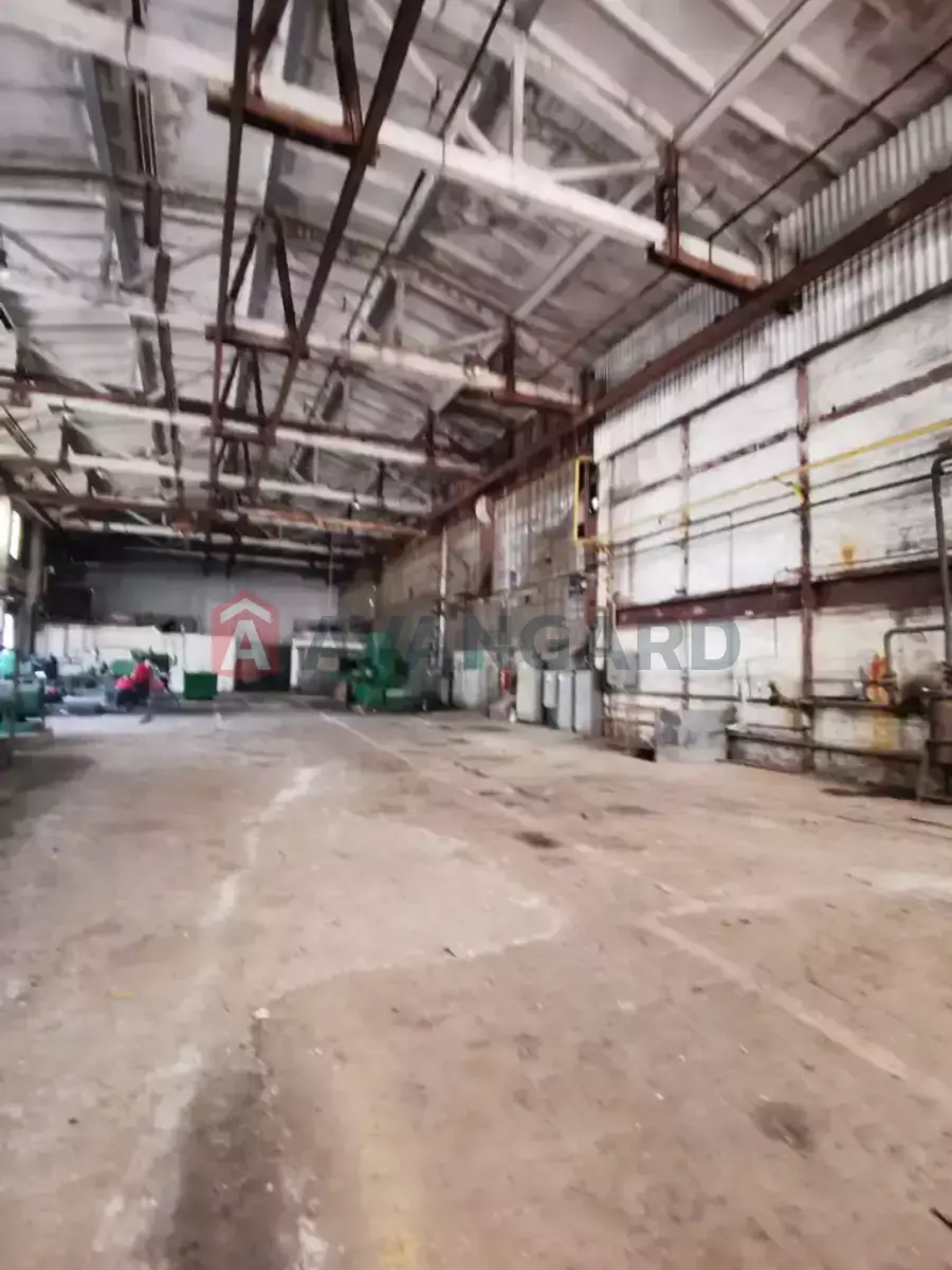 Торговая площадь, 2000 кв.м. фото 4 Торговая площадь, 2000 кв.м. фото 4