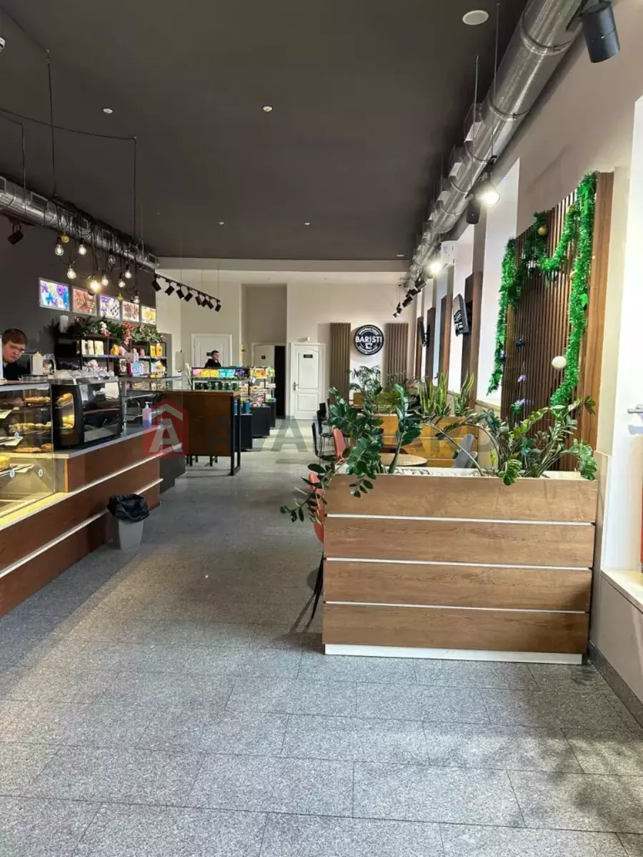 Торговая площадь, 296 кв.м. фото 4 Торговая площадь, 296 кв.м. фото 4