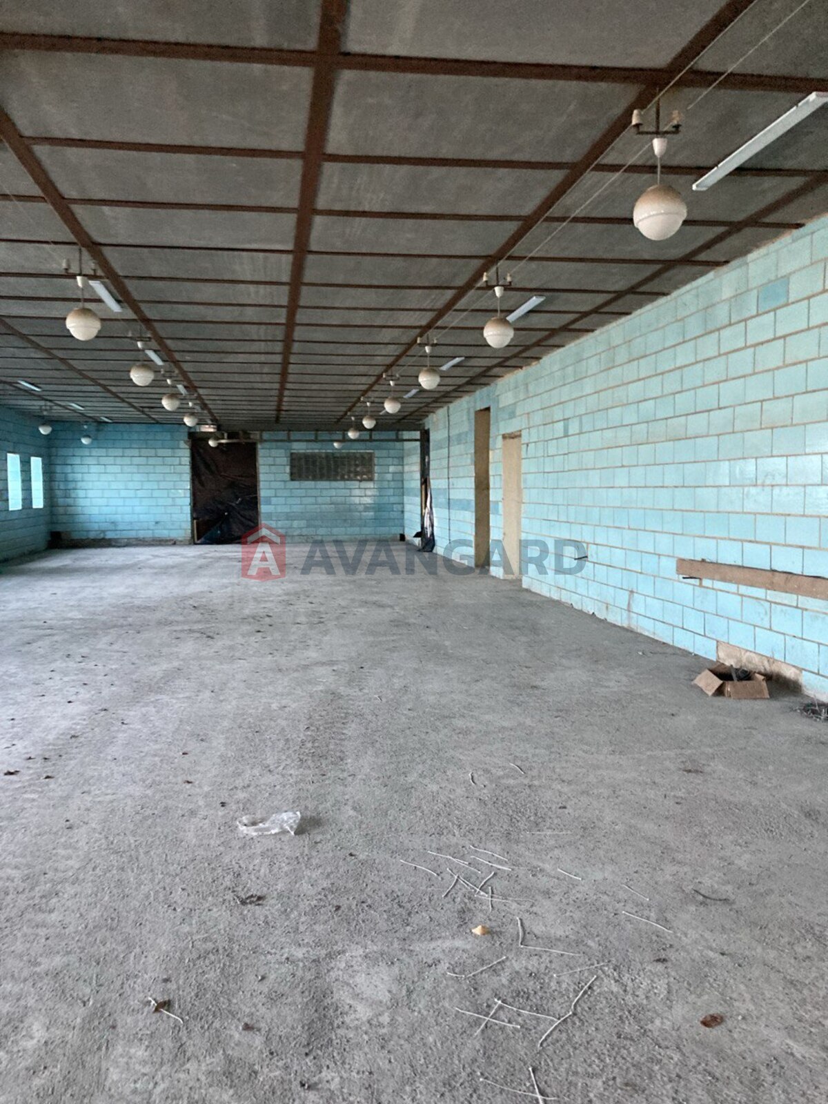 1600 кв.м. фото 6 1600 кв.м. фото 6