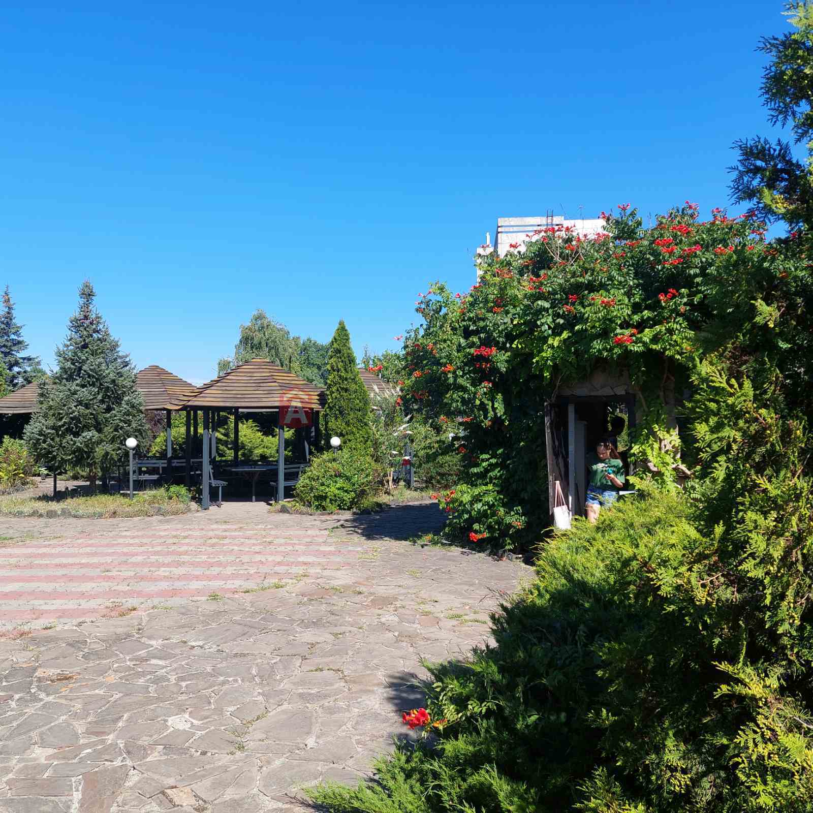 Кафе, бар, ресторан, 320 кв.м. фото 13 Кафе, бар, ресторан, 320 кв.м. фото 13