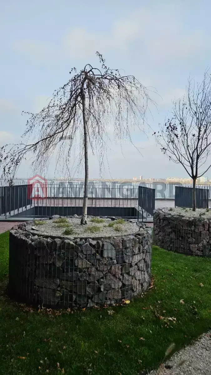 Торговая площадь, 107 кв.м. фото 19 Торговая площадь, 107 кв.м. фото 19