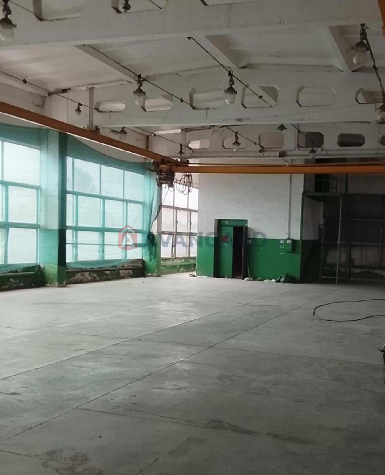 1250 кв.м. фото 6 1250 кв.м. фото 6