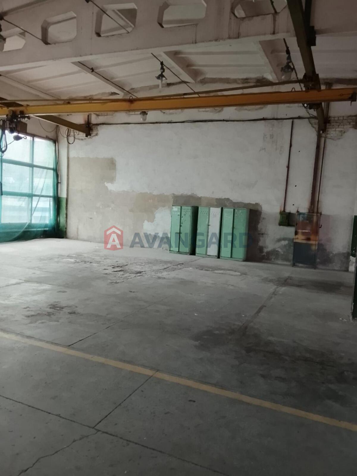 1250 кв.м. фото 5 1250 кв.м. фото 5