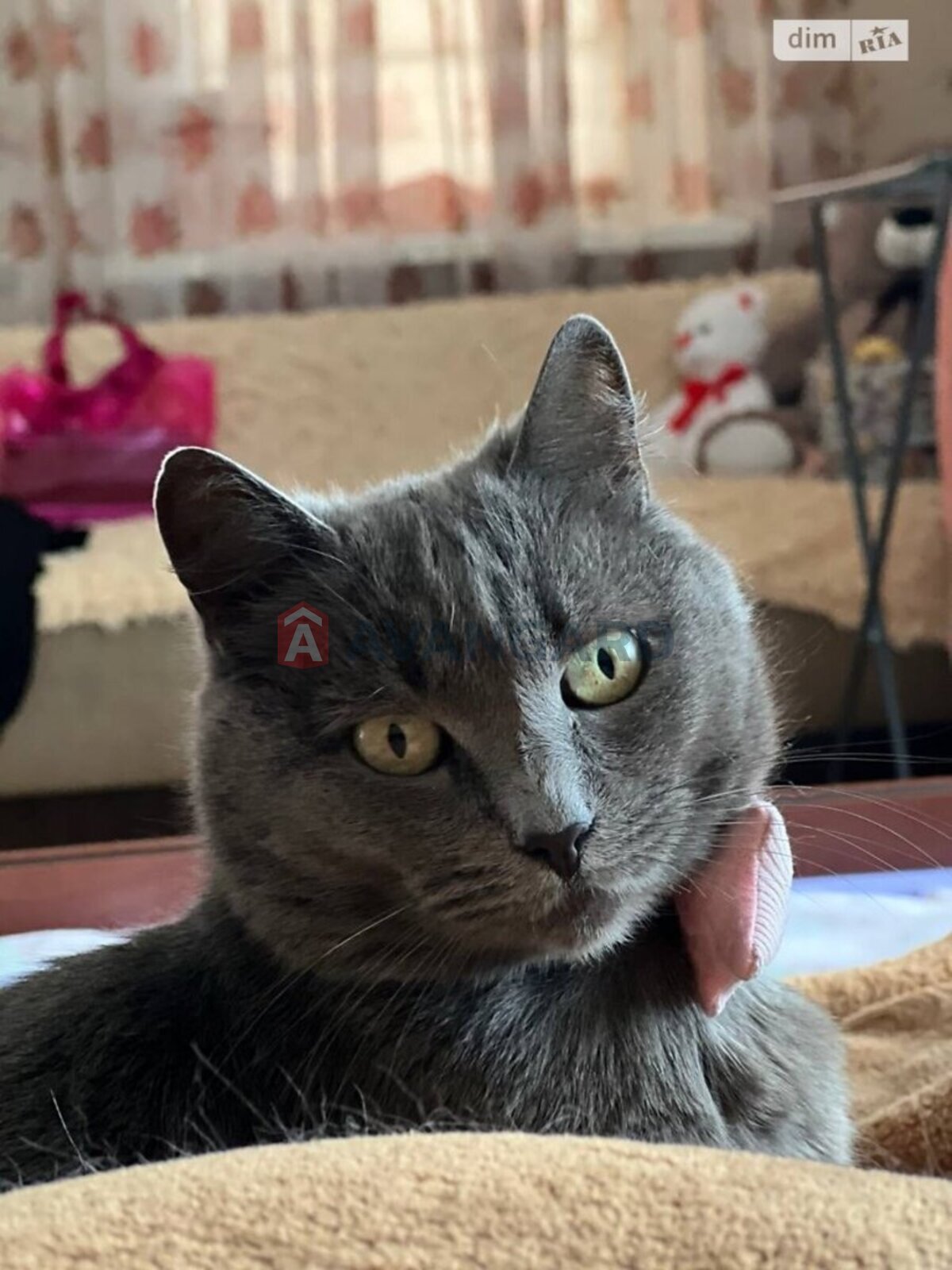 2 комн. квартира, 46/28/9 кв. м., 2/4 этаж фото 10 2 комн. квартира, 46/28/9 кв. м., 2/4 этаж фото 10