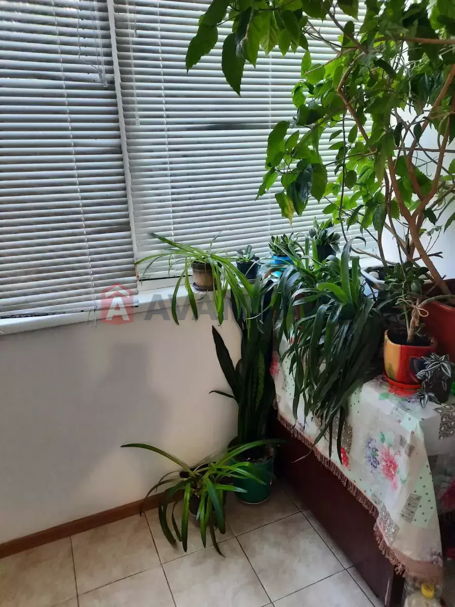3 комн. квартира, -/-/- кв. м., 1/9 этаж фото 4 3 комн. квартира, -/-/- кв. м., 1/9 этаж фото 4