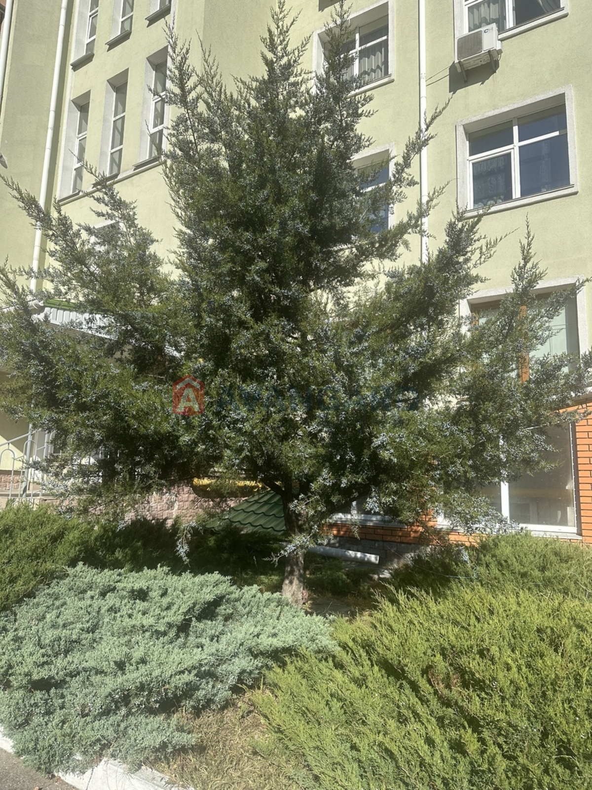 2 комн. квартира, 112/59/15 кв. м., 1/4 этаж фото 28 2 комн. квартира, 112/59/15 кв. м., 1/4 этаж фото 28
