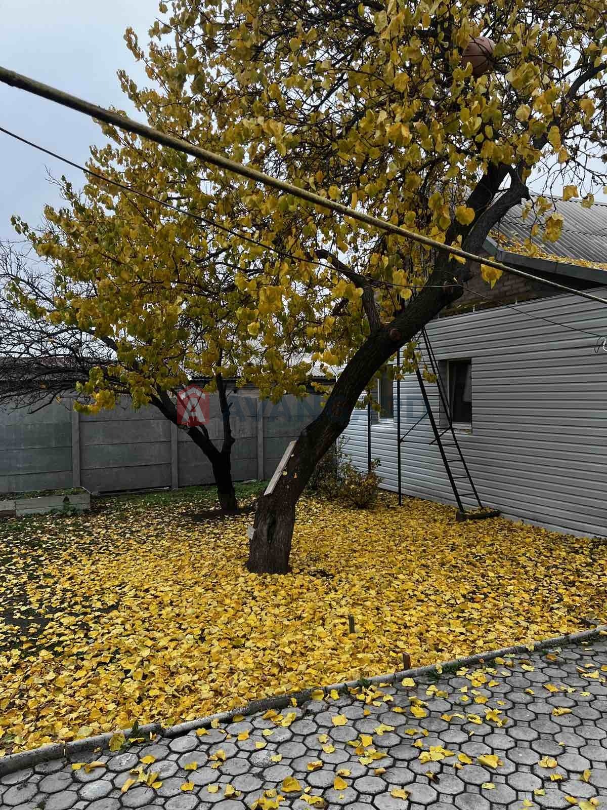 3 кім. квартира, 60/-/8 кв. м., 1/1 поверх фото 6 3 кім. квартира, 60/-/8 кв. м., 1/1 поверх фото 6