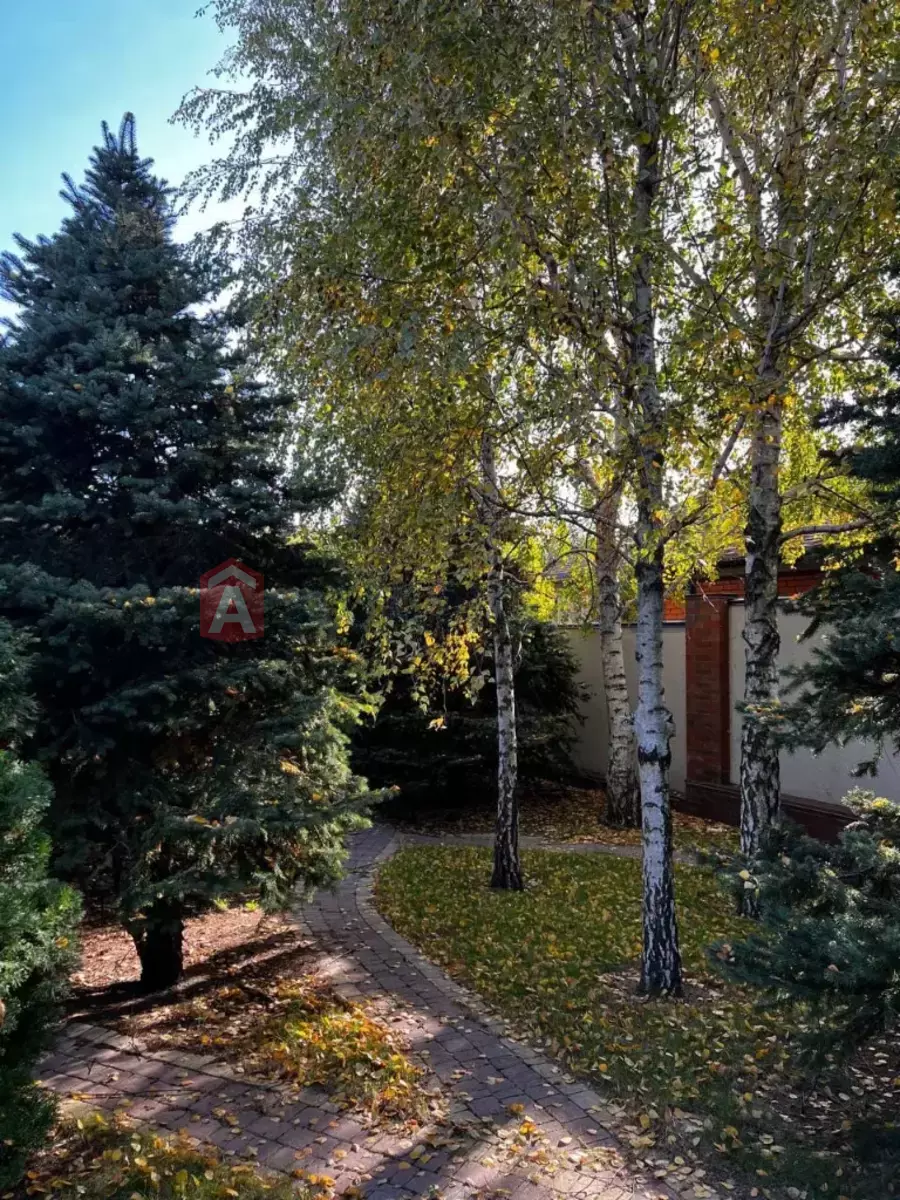 4 комн. квартира, 500/-/70 кв. м., -/2 этаж фото 21 4 комн. квартира, 500/-/70 кв. м., -/2 этаж фото 21