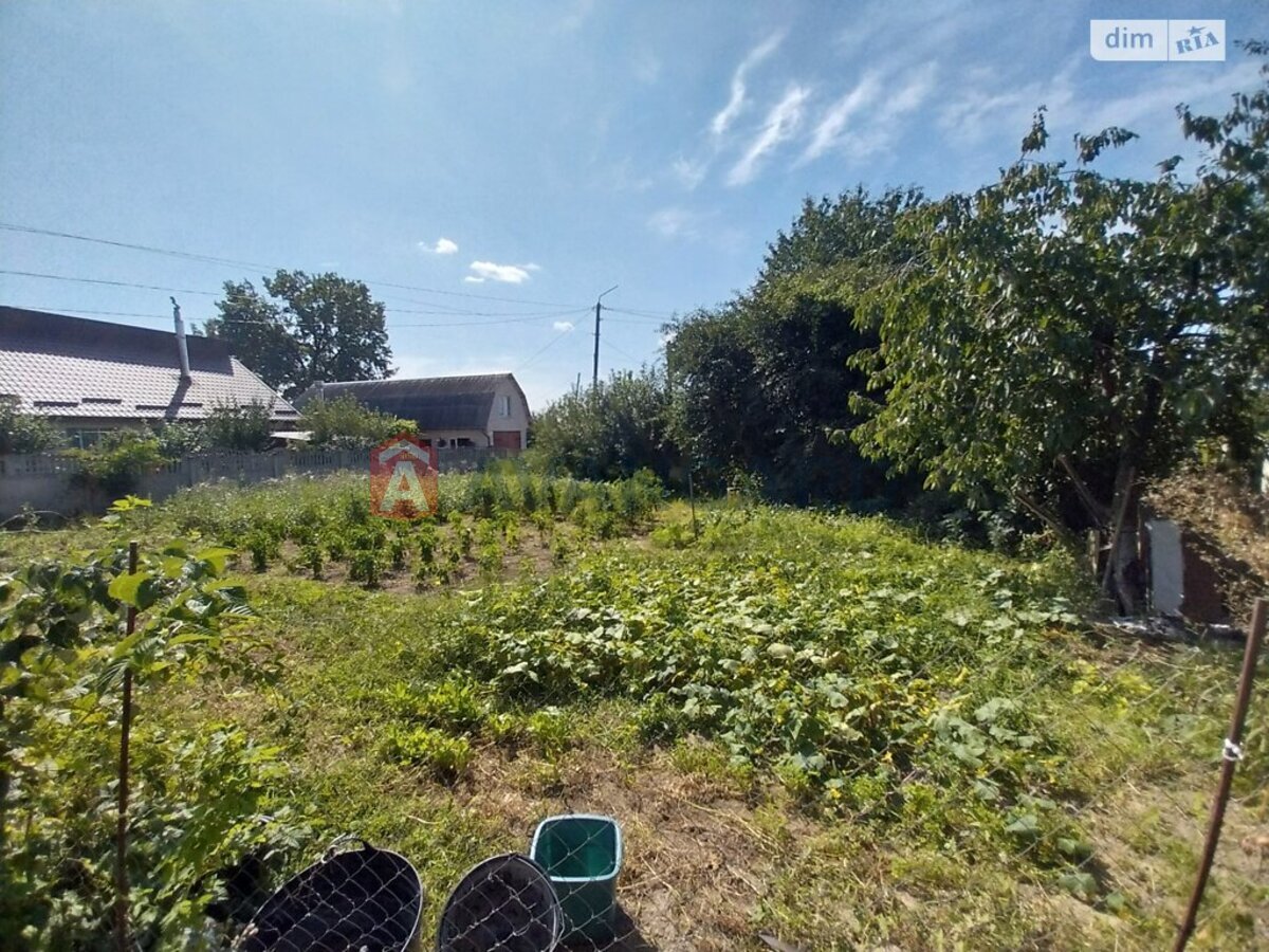 2 комн. квартира, 55/25/8 кв. м., 1/1 этаж фото 28 2 комн. квартира, 55/25/8 кв. м., 1/1 этаж фото 28