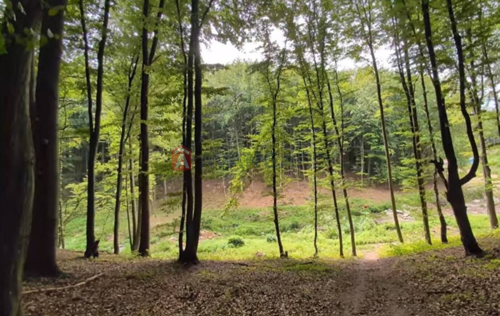 2 комн. квартира, 64.3/-/19.7 кв. м., 1/5 этаж фото 8 2 комн. квартира, 64.3/-/19.7 кв. м., 1/5 этаж фото 8