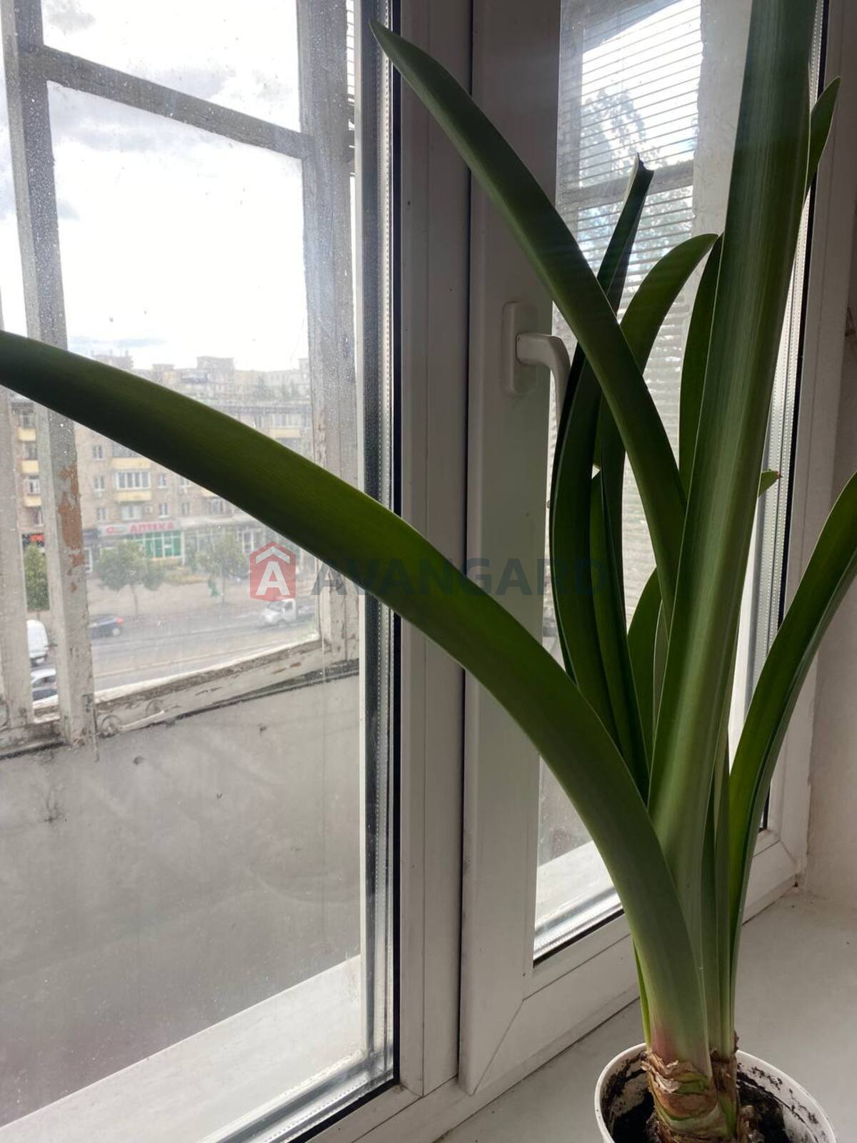 2 кім. квартира, 42.5/27.7/5.5 кв. м., 5/5 поверх фото 9 2 кім. квартира, 42.5/27.7/5.5 кв. м., 5/5 поверх фото 9