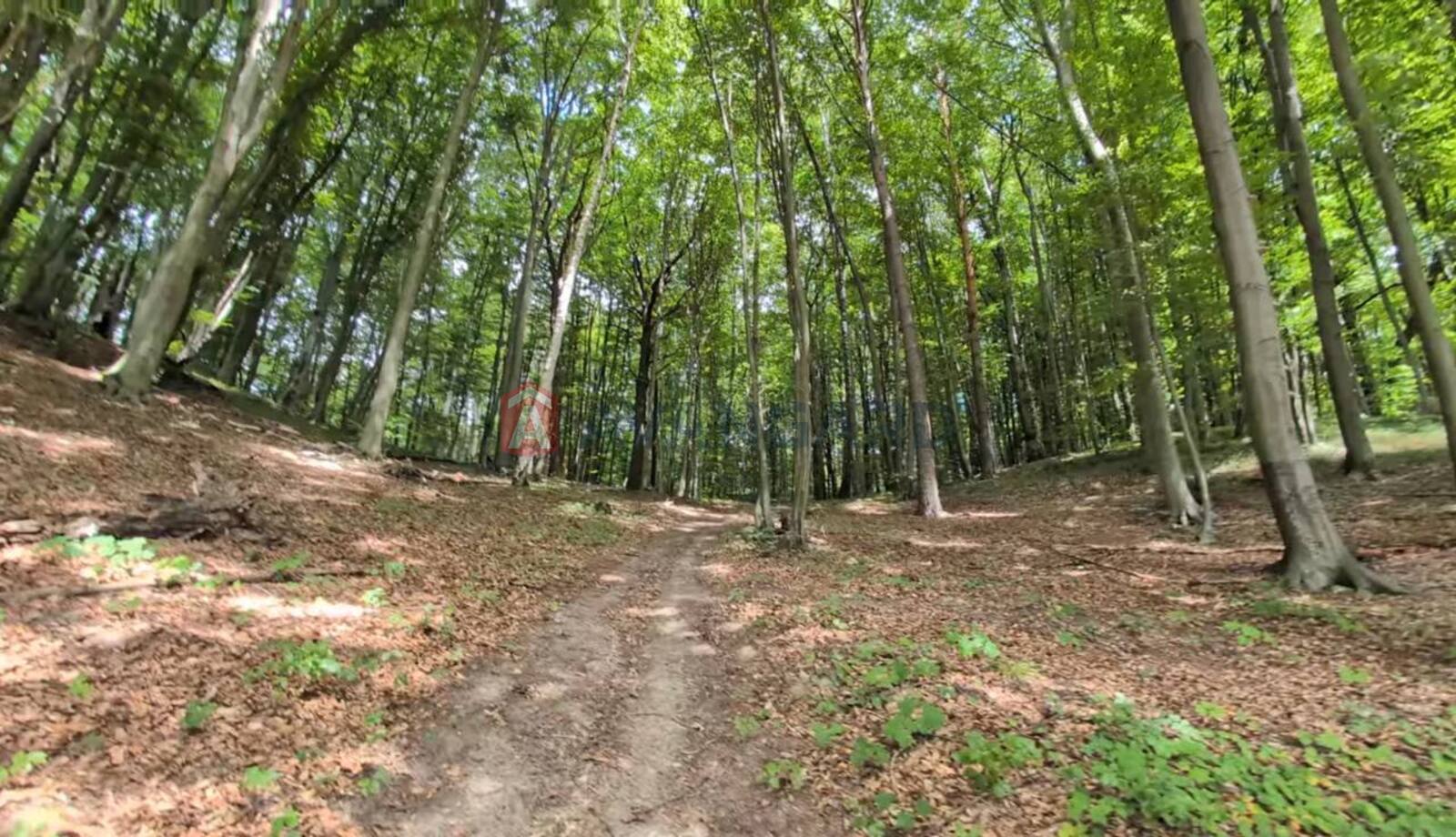 2 комн. квартира, 61,5/31,3/11,2 кв. м., 3/5 этаж фото 9 2 комн. квартира, 61,5/31,3/11,2 кв. м., 3/5 этаж фото 9