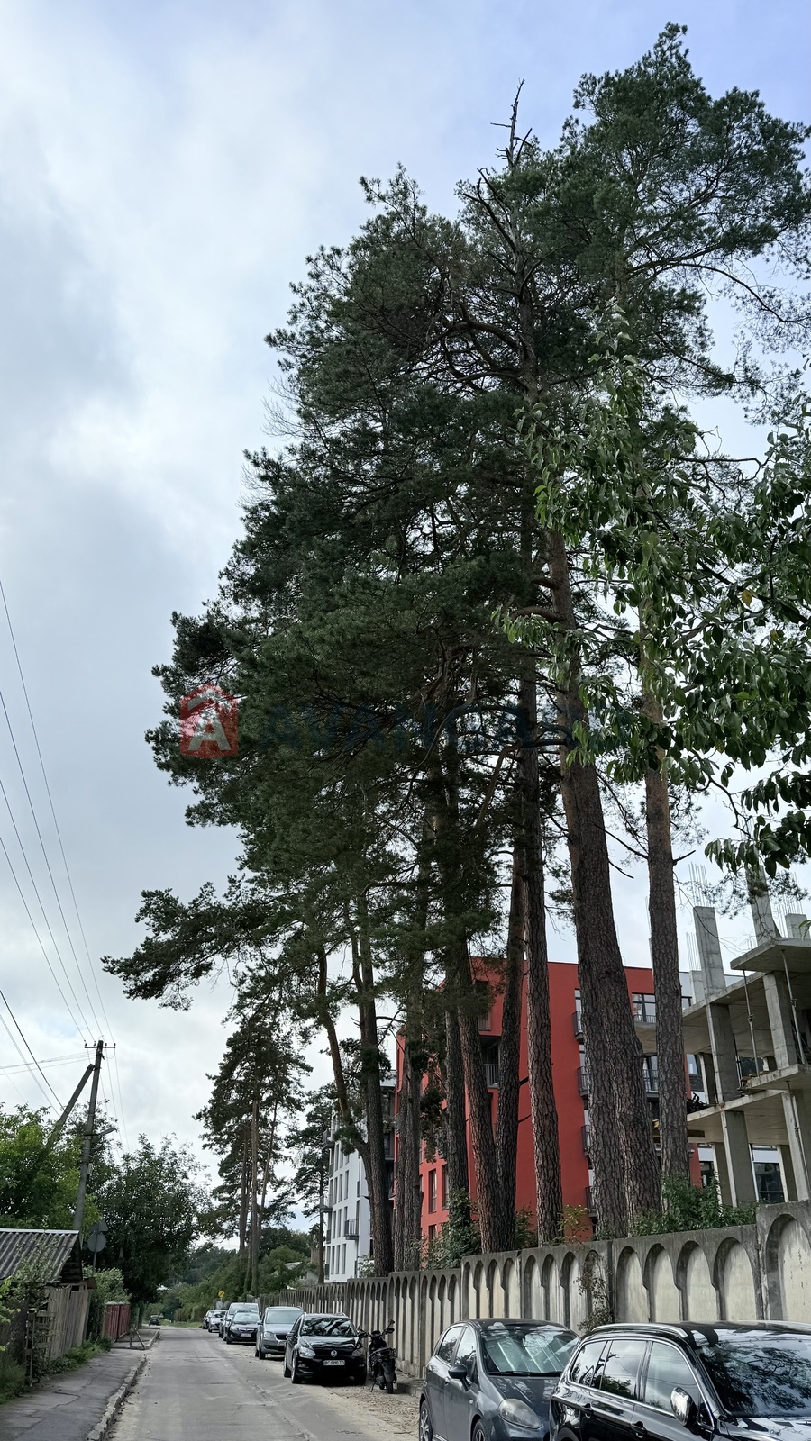 2 комн. квартира, 68/-/15 кв. м., 2/5 этаж фото 24 2 комн. квартира, 68/-/15 кв. м., 2/5 этаж фото 24