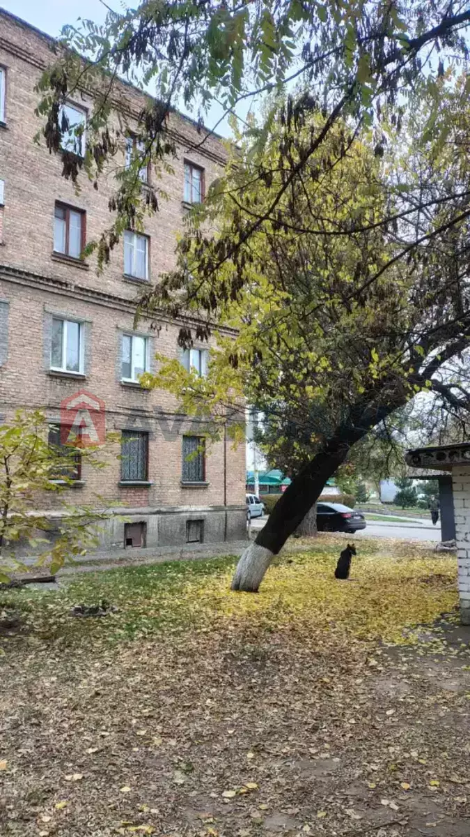 1 комн. квартира, 24/-/- кв. м., 4/4 этаж фото 11 1 комн. квартира, 24/-/- кв. м., 4/4 этаж фото 11