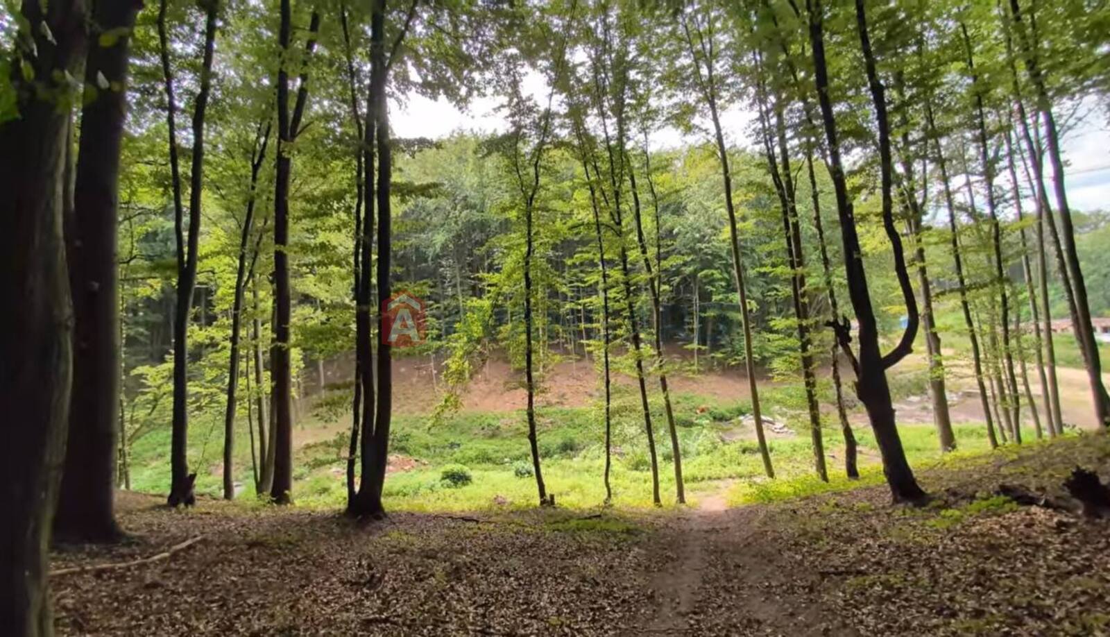 1 комн. квартира, 42,4/13,6/17,4 кв. м., 1/5 этаж фото 9 1 комн. квартира, 42,4/13,6/17,4 кв. м., 1/5 этаж фото 9