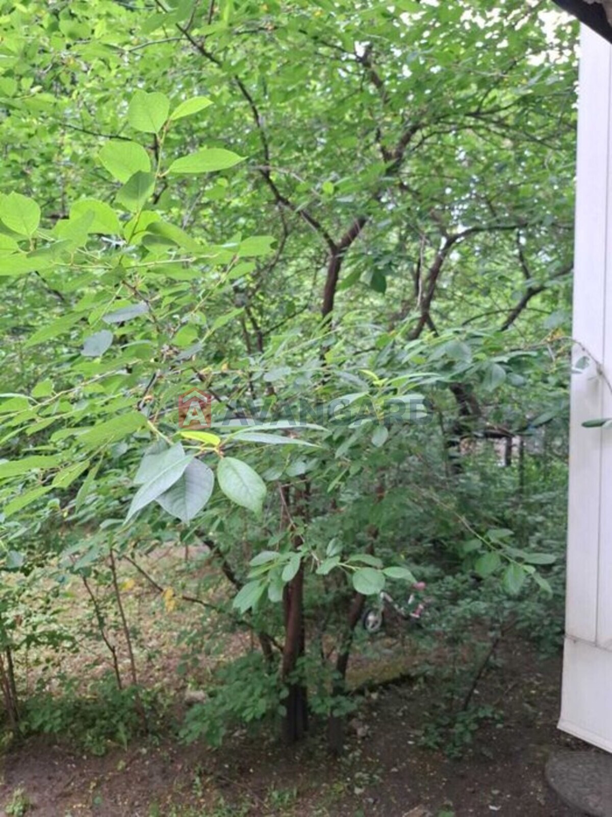 1 комн. квартира, 20/-/6 кв. м., 1/3 этаж фото 17 1 комн. квартира, 20/-/6 кв. м., 1/3 этаж фото 17