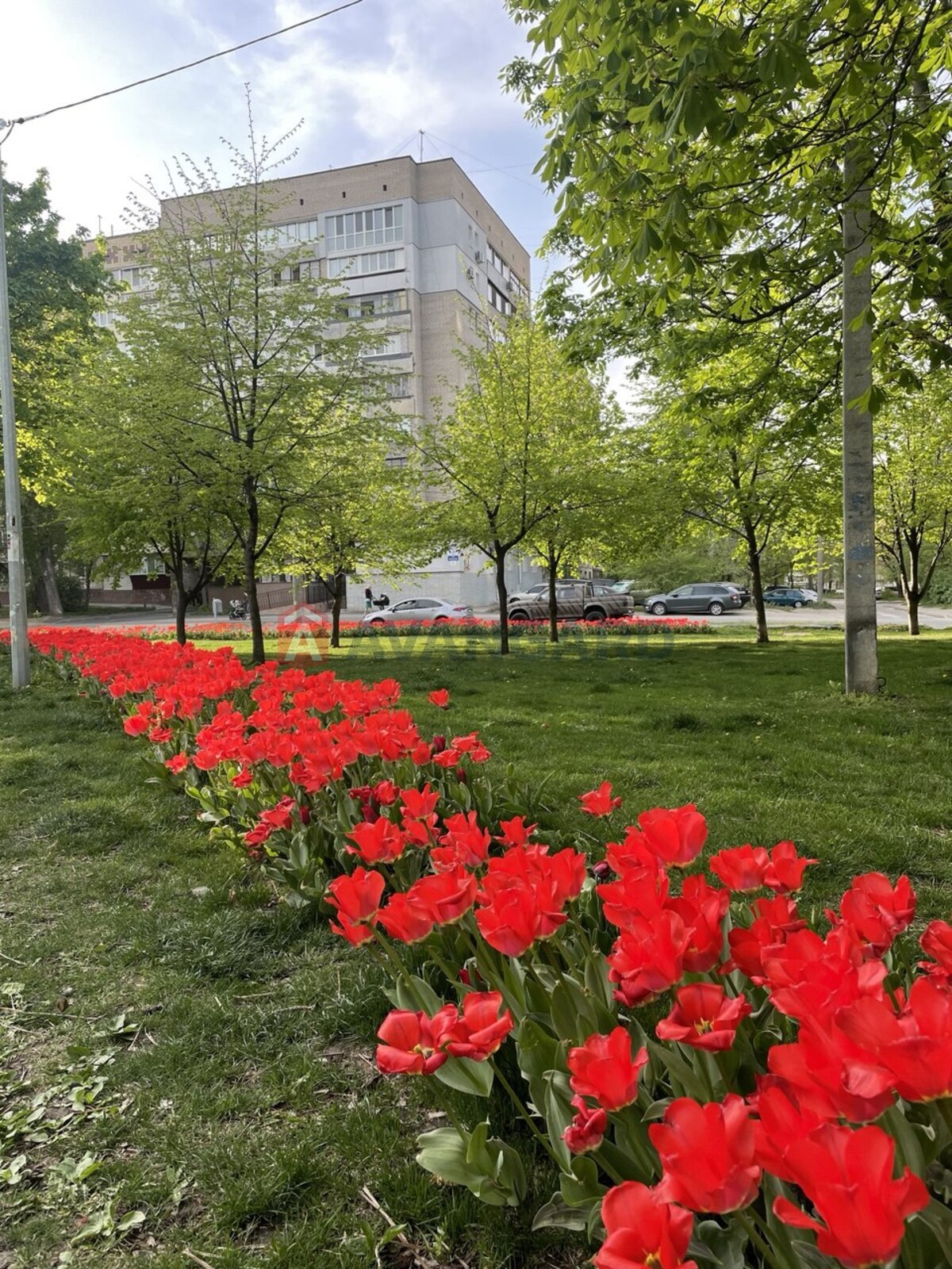 3 комн. квартира, 70/46/9,6 кв. м., 1/9 этаж фото 15 3 комн. квартира, 70/46/9,6 кв. м., 1/9 этаж фото 15