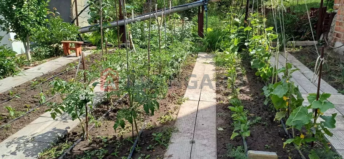 Дача, 70 кв.м. фото 5 Дача, 70 кв.м. фото 5