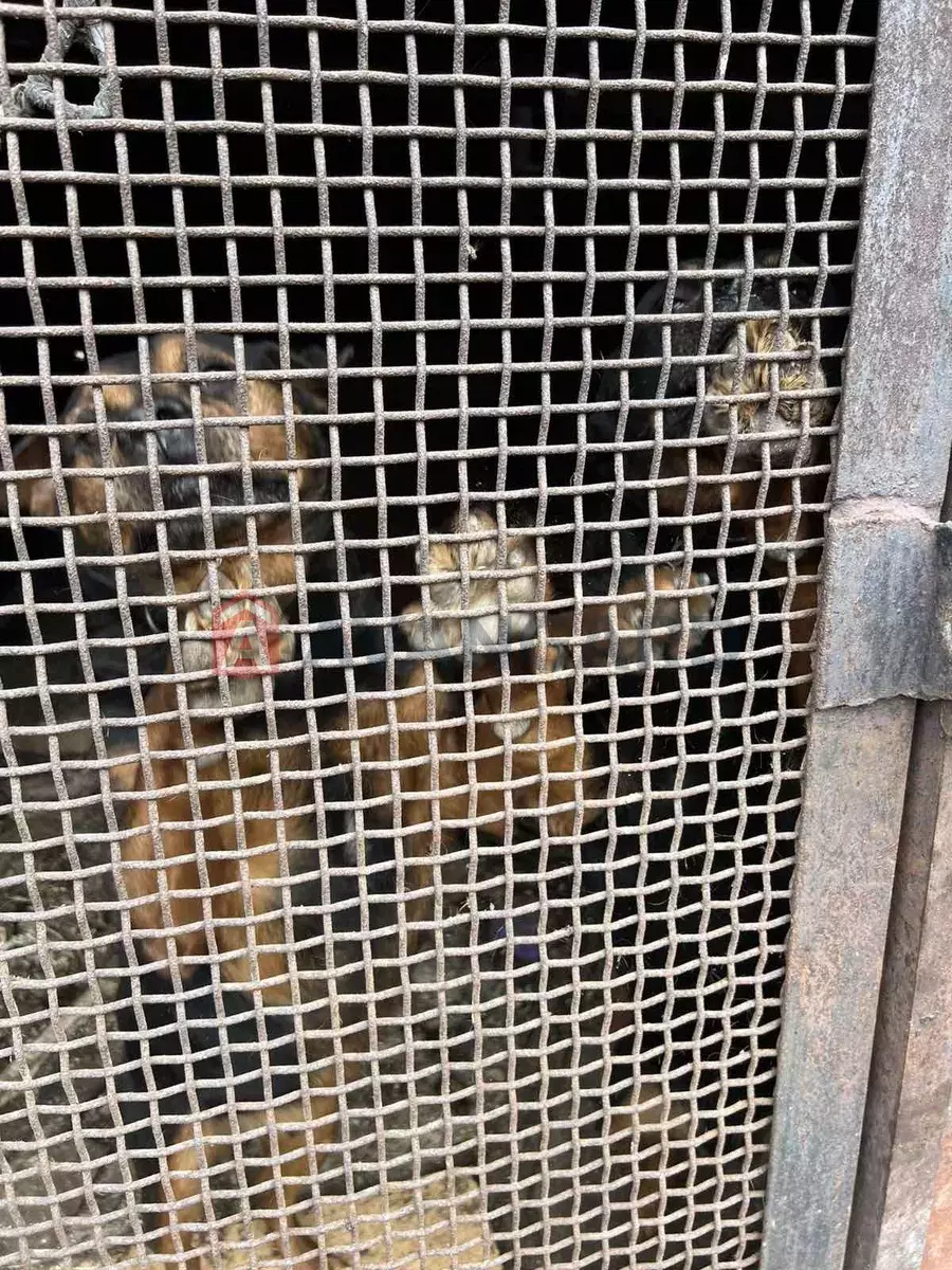 Будинок, 87 кв.м. фото 14 Будинок, 87 кв.м. фото 14