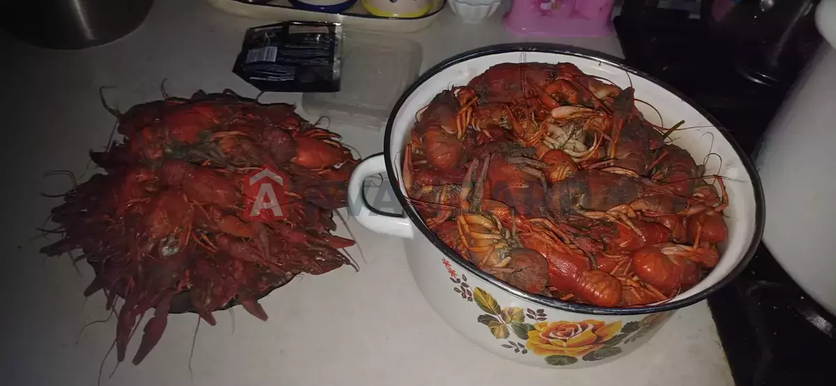 Дача, 70 кв.м. фото 23 Дача, 70 кв.м. фото 23