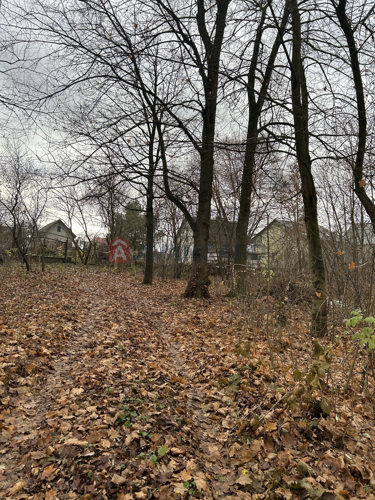 фото 13 фото 13