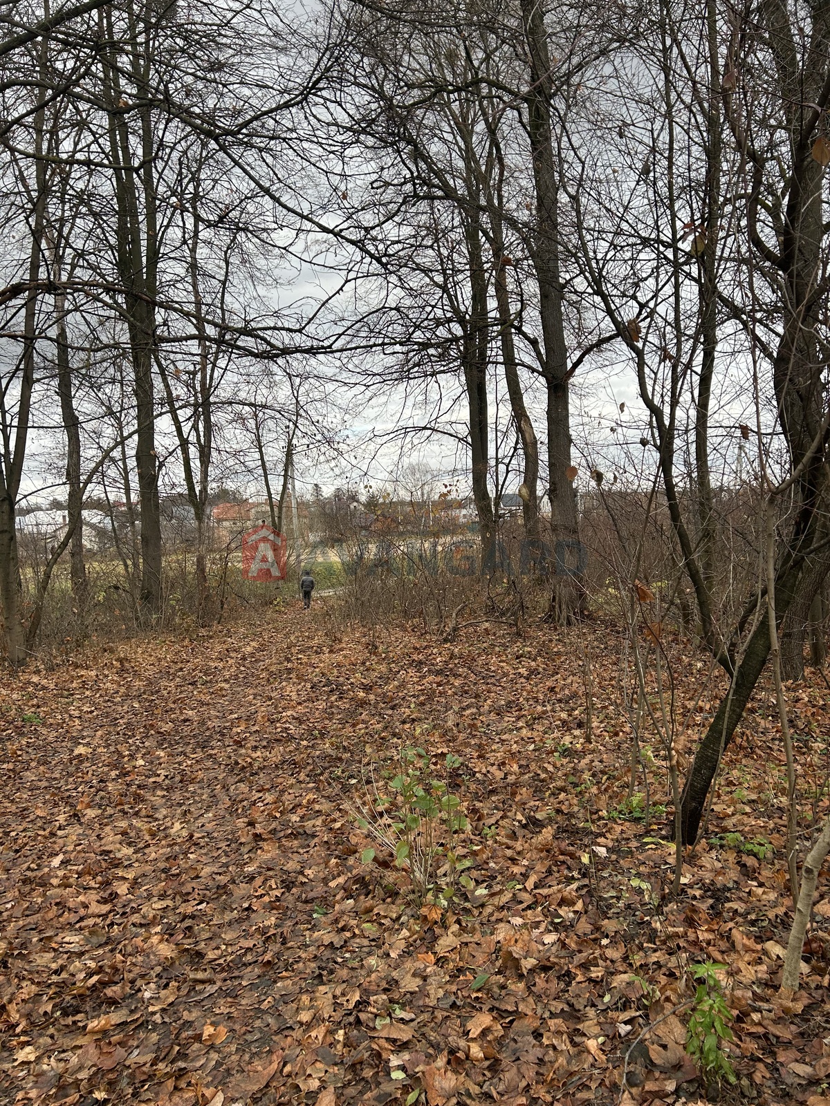 фото 4 фото 4