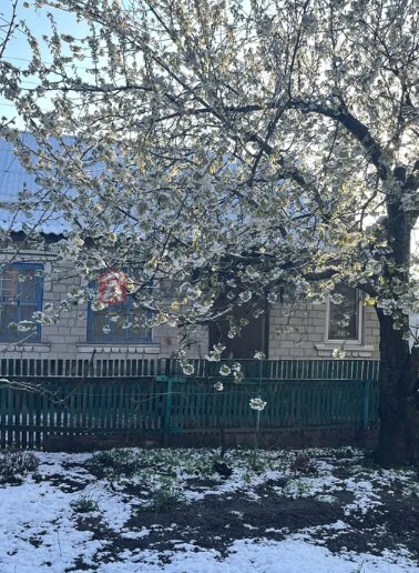 Дом, 65 кв.м. фото 8 Дом, 65 кв.м. фото 8