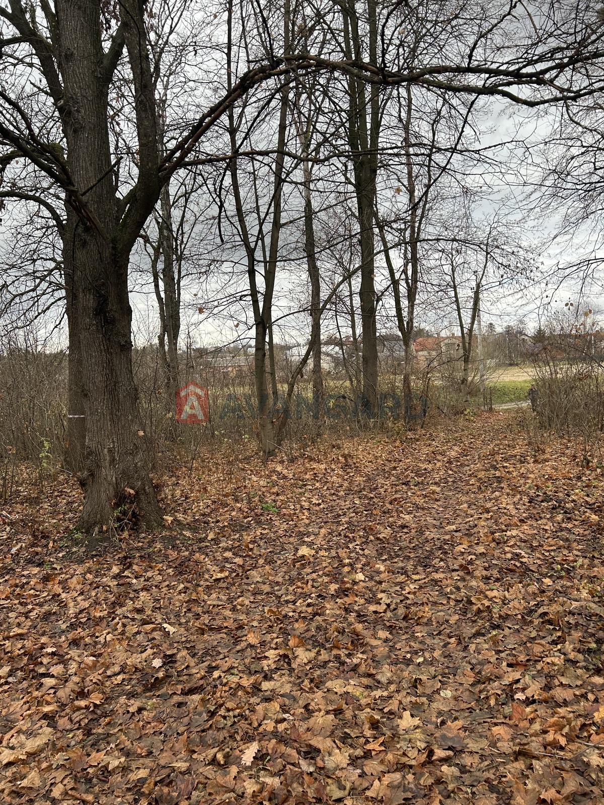 фото 8 фото 8